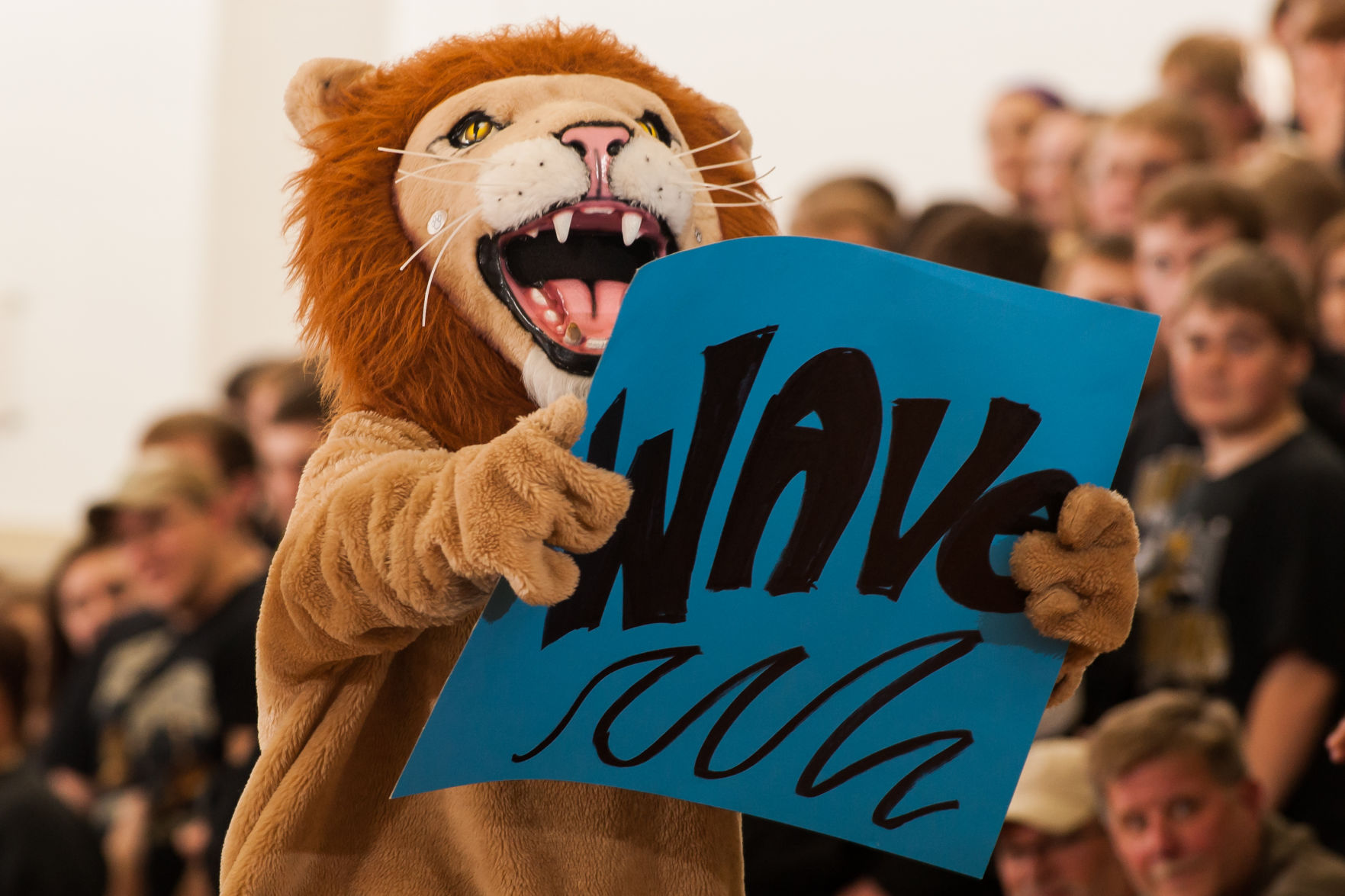 David City Aquinas Monarch